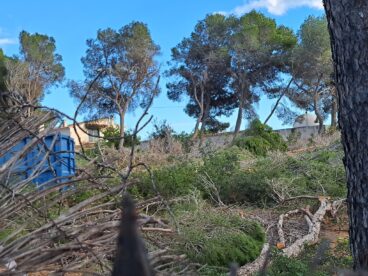 Blick auf die Fläche, auf der im Vordergrund die Vegetation gemäht wurde und im Hintergrund Maschinen zu sehen sind, auf einem Grundstück in der Nähe der Küste von Benissa