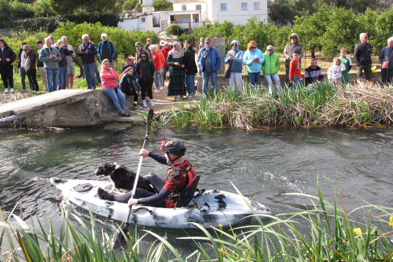 XL Baixà del Riu Bullent del carnaval de Pego este 2026 02