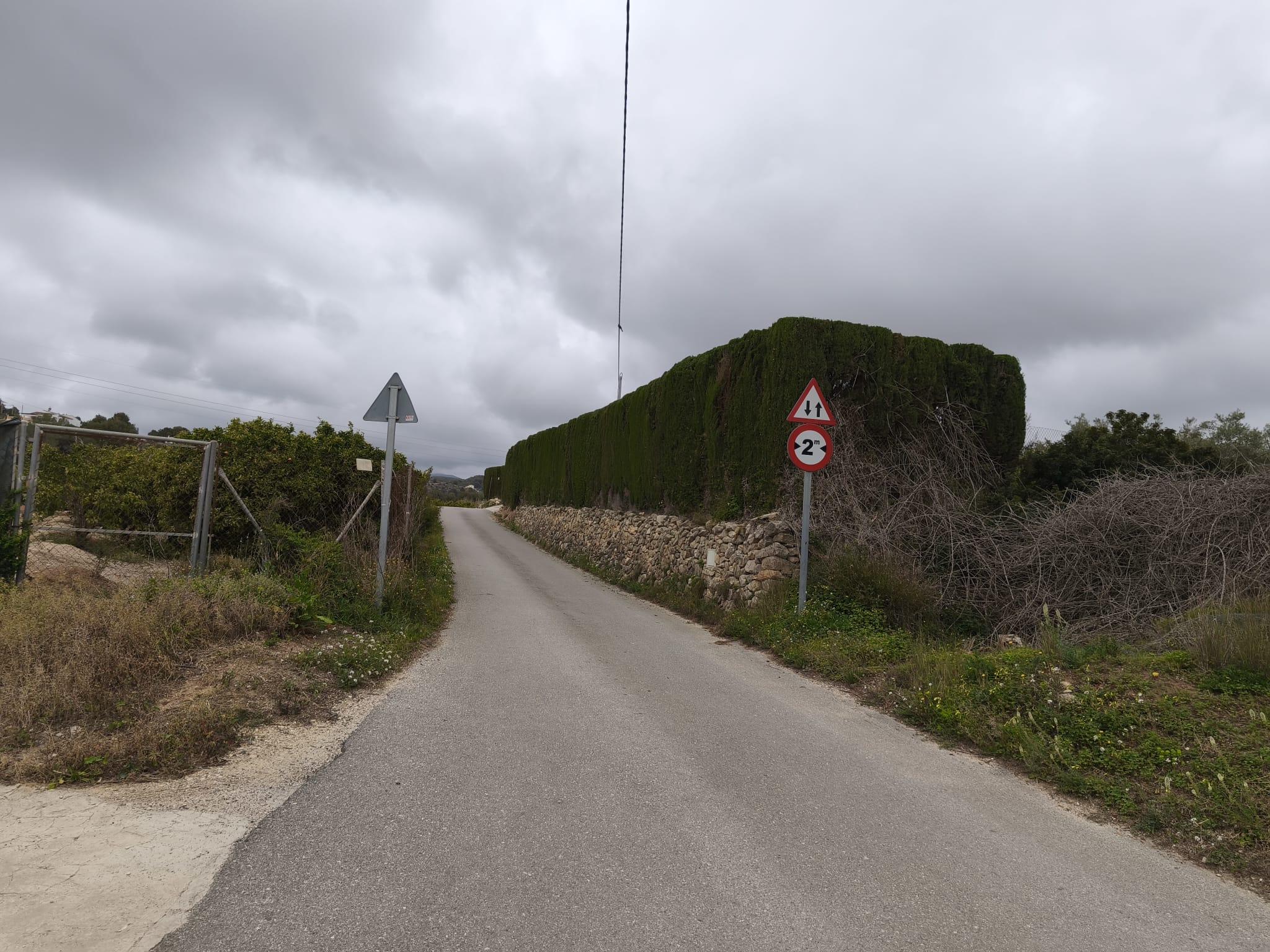 Tramo estrecho del camino viejo de Benissa con un alto seto a la derecha y señales de tráfico bajo un cielo nublado.