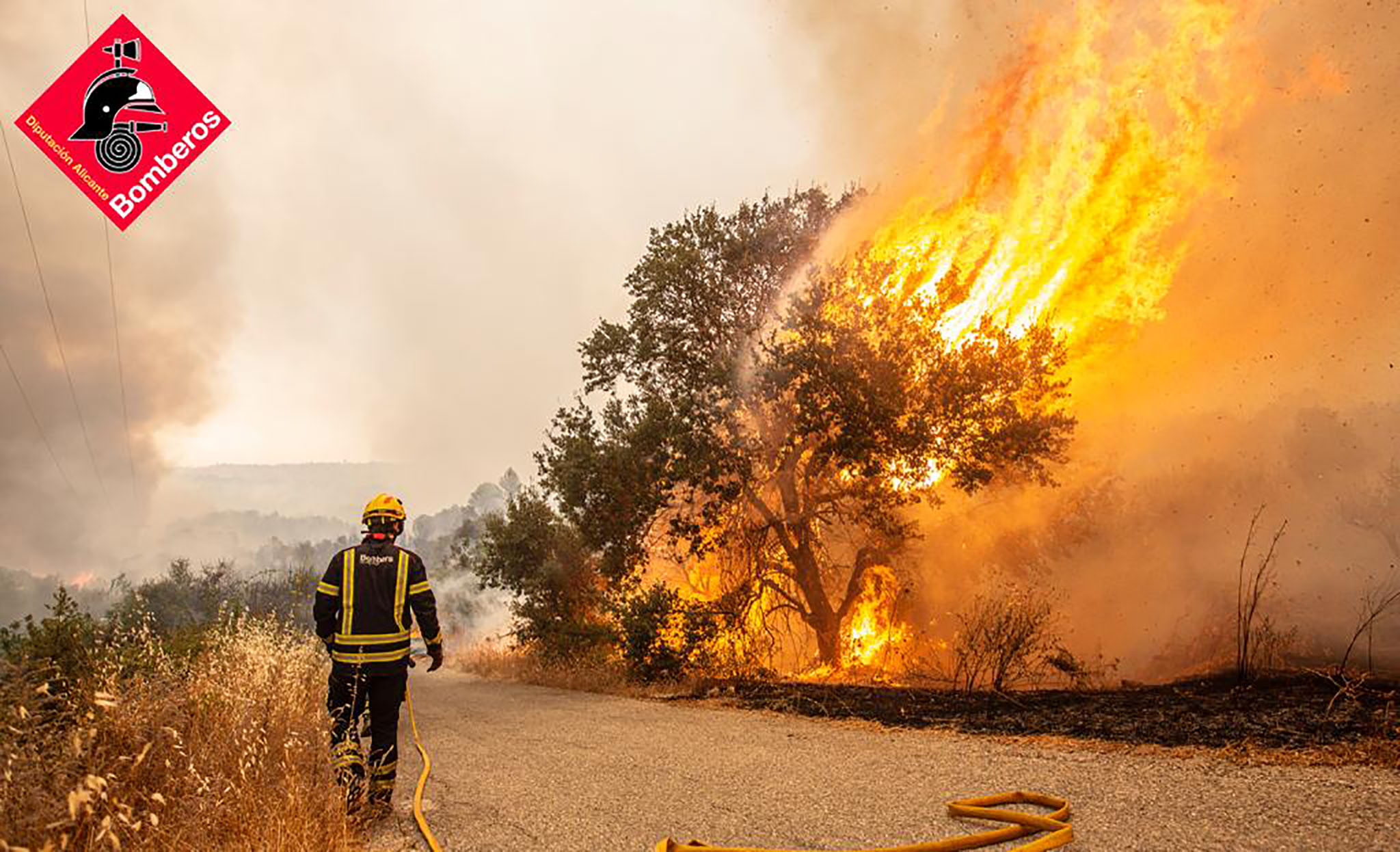 consorcio provincial de bomberos de alicante en el incendio de la vall debo de 2022
