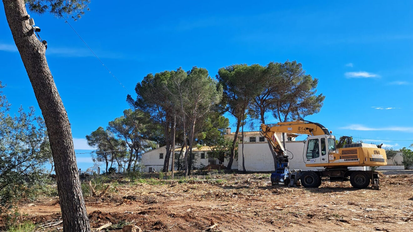 Desforestació de Patmore, a Benissa - Compromís Marina Alta