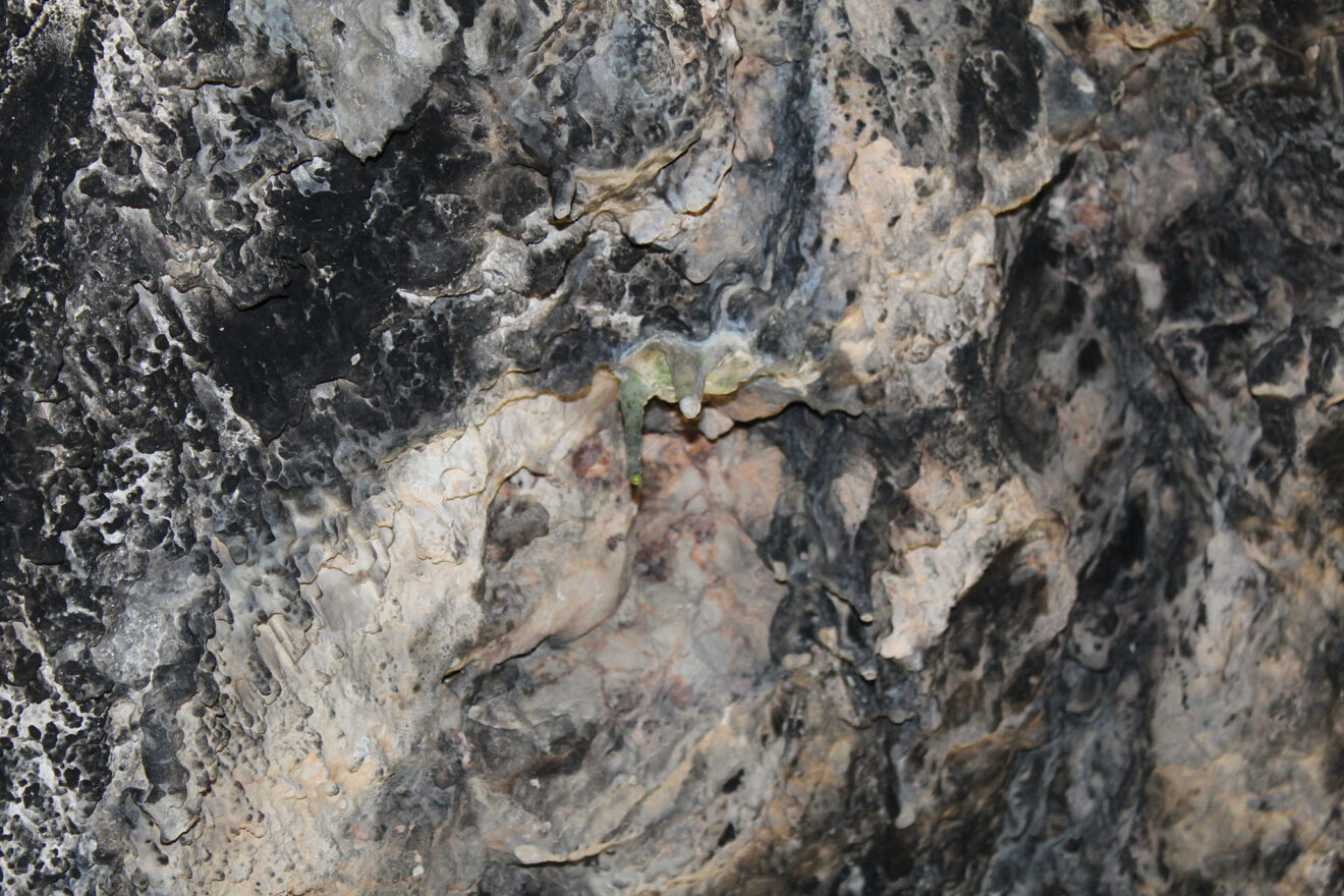 Detalle del Pla de Petracos en Castell de Castells