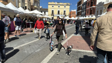 Fira de Comerç Comarcal del Verger 2026 10