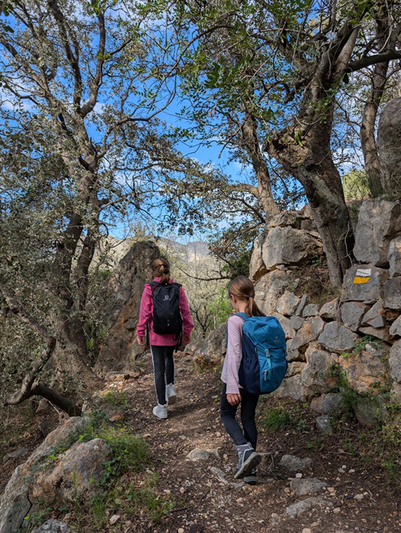 Jóvenes en una ruta - Tour Valls de la Marina