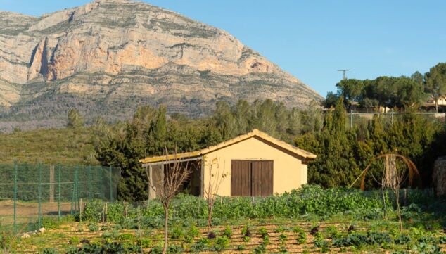 huerto de vall de cavall a pies del montgo