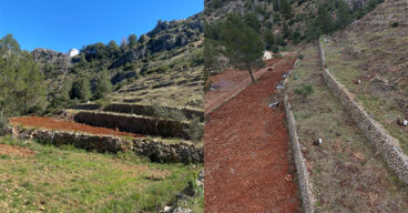 mantenimiento y mejora de cultivos agroforestales en pedreguer