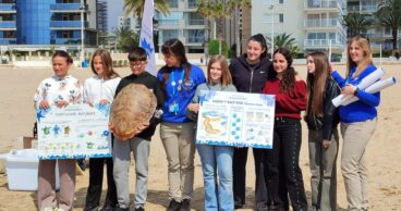 Estudiantes y personal de la Fundación Oceanogràfic posan con la tortuga 'Tuk Tuk' y carteles educativos en la playa de Calp antes de su suelta.