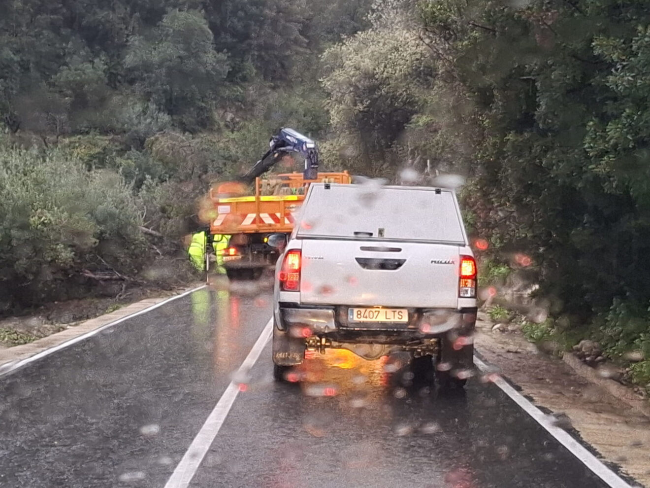 Operarios trabajan para retirar un pino caído que ha obligado a cortar la carretera entre Benissivà y la Carroja