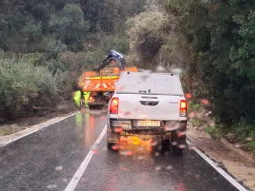 operarios trabajan para retirar un pino caido que ha obligado a cortar la carretera entre benissiva y la carroja