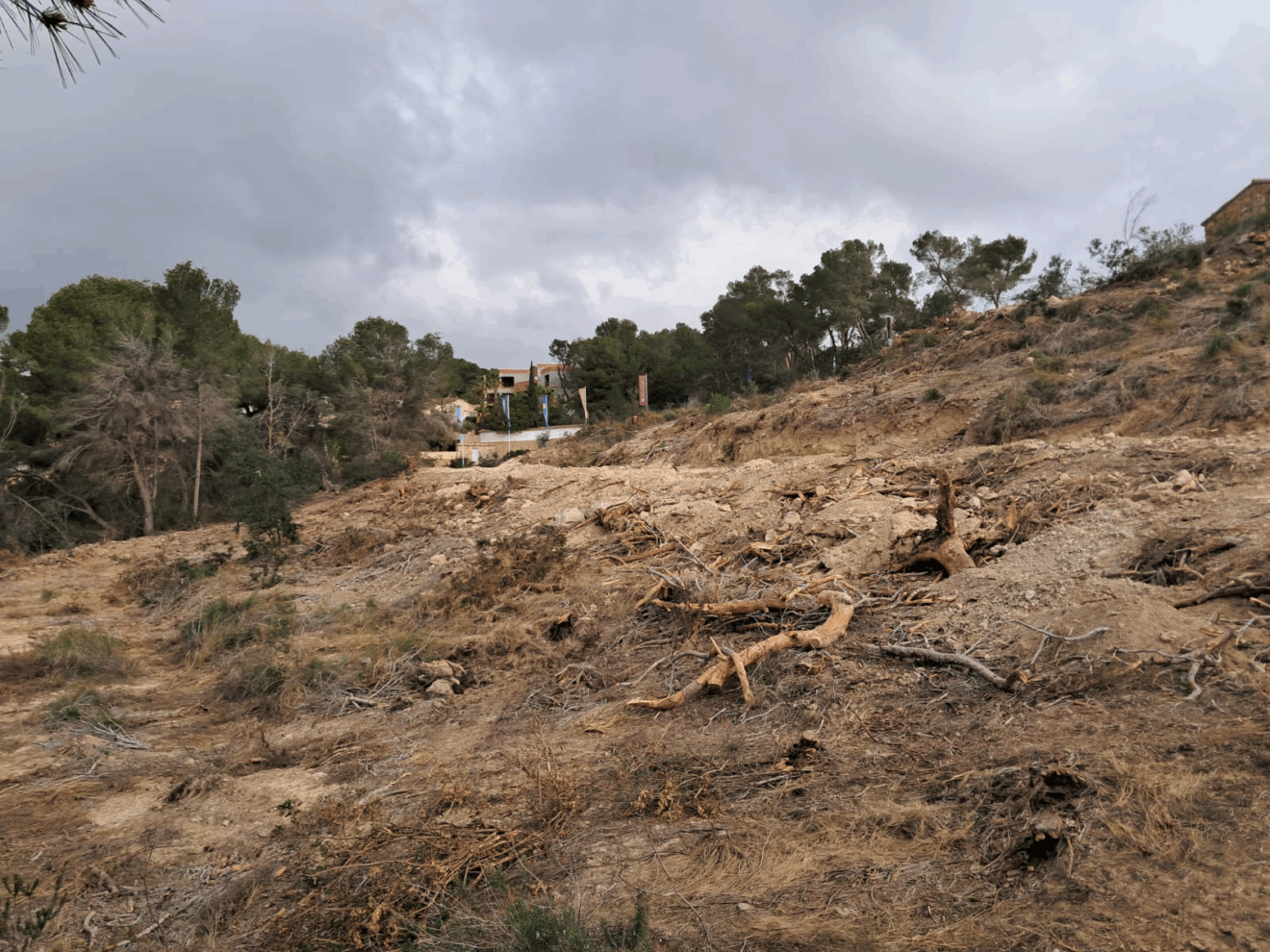Parcela de Patmore en Benissa