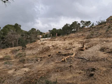 parcela de patmore en benissa 2