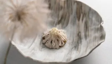 Sabores del mar y la montaña en la Costa Blanca