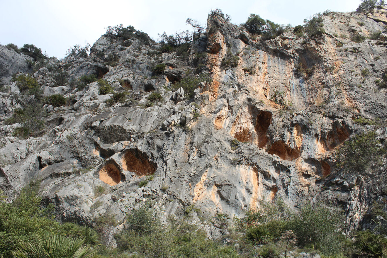 vista de los abrigos del pla de petracos en castell de castells