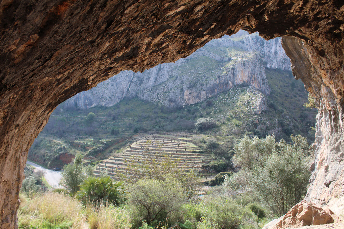 Vista del entorno de bancales desde una cueva del Pla de Petracos en Castell de Castells