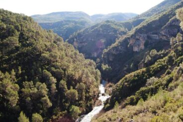 260401 med foto bosque