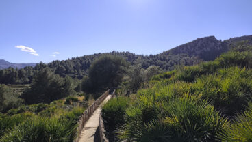 Acequia en la falda de la Serra de Segària