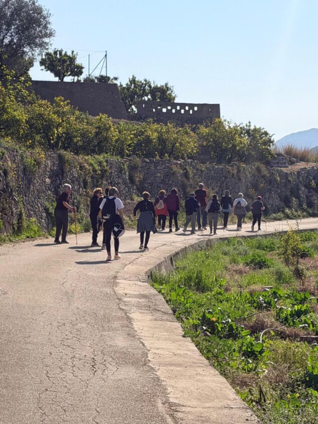 Imagen: Grupo de personas caminando por una carretera rural durante la actividad 'Camina' en Atzúvia y Forna.