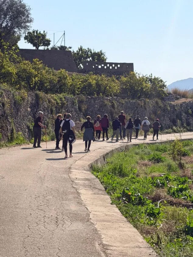 L'Atzúbia y Forna se unen a «Camina», el programa que combina actividad física y socialización 5 Imagen: Grupo de personas caminando por una carretera rural durante la actividad 'Camina' en Atzúvia y Forna.