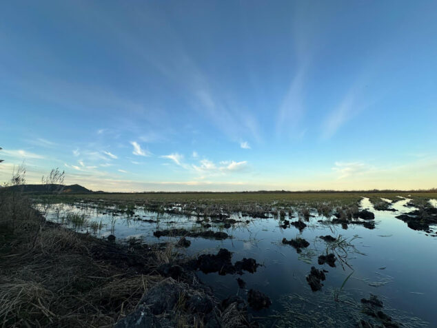 Imagen: Campos de la Marjal de Pego-Oliva