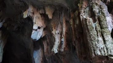 Detalle del interior de la Cova Bolumini de Segària