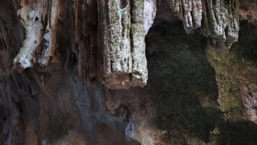 Detalles de la Cova Bolumini de Segària