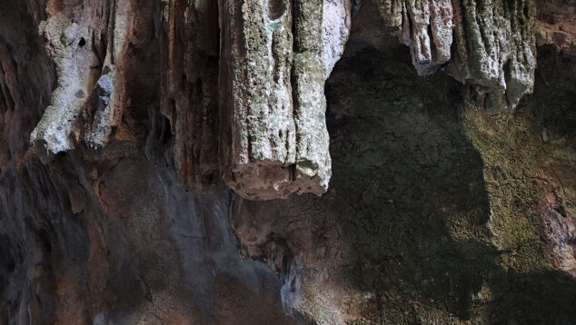 detalles de la cova bolumini de segaria