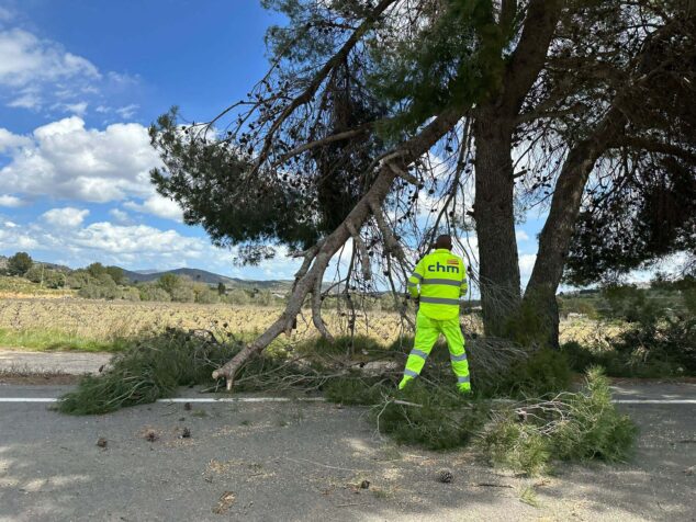 Imagen: El viento provoca la caída de arbolado sobre la carretera entre Benissa y Xaló