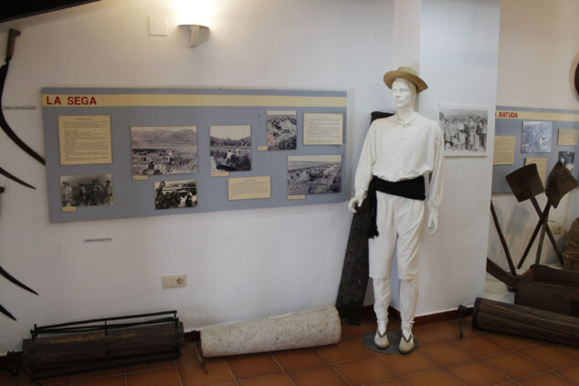 Imagen: Explicación de la siega del arroz en la Marjal de Pego en el Museu Etnològic de la Casa de Cultura de Pego