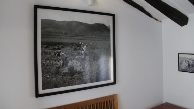 Imagen: Fotografía del trabajo en la Marjal de Pego en el Museu Etnològic de la Casa de Cultura de Pego