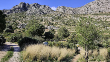 Inmediaciones a la ruta de ascenso a la Cova Bolumini de Segària