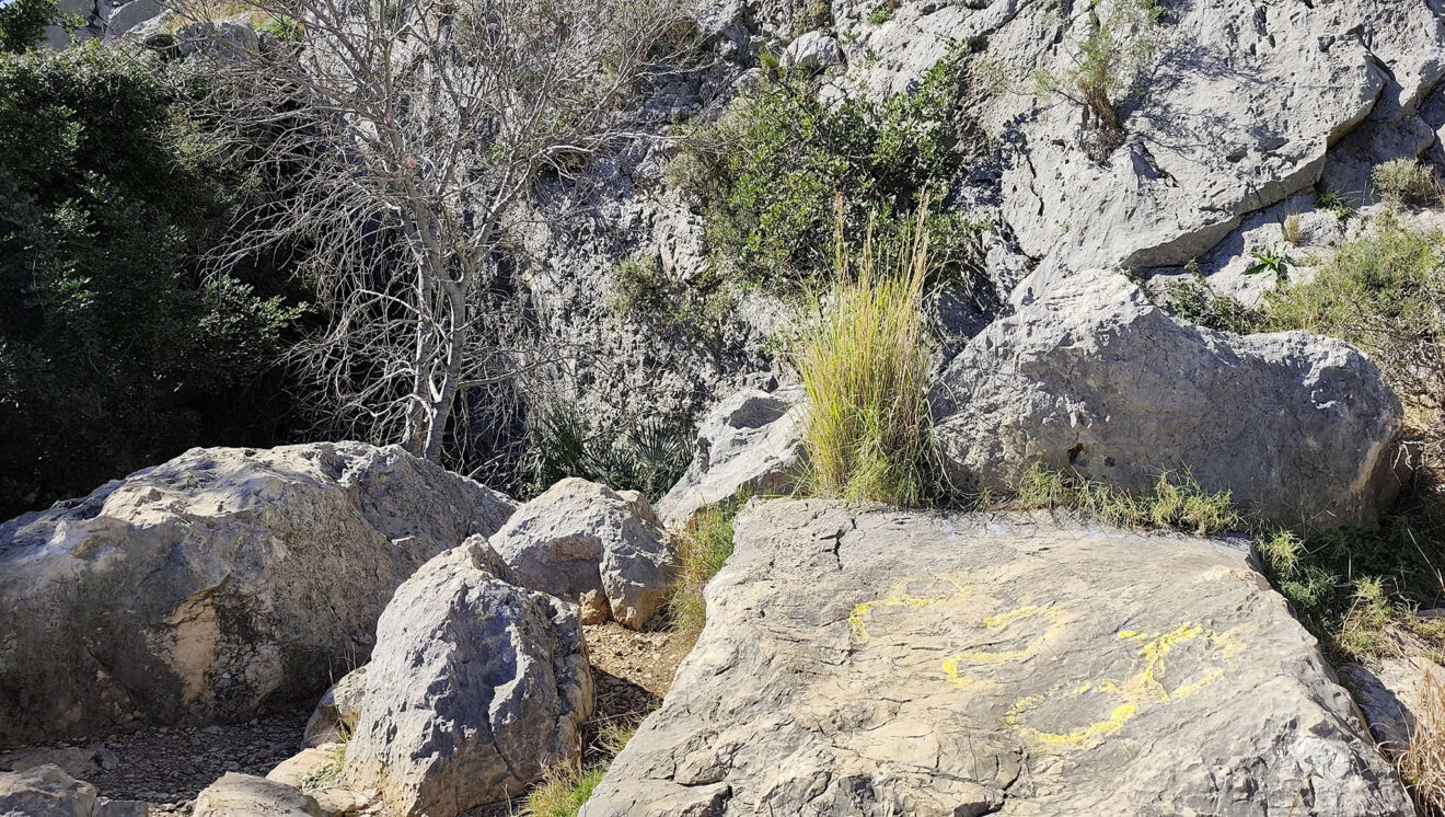 Llegada a la Cova Bolumini de Segària desde Beniarbeig