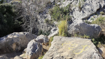 Llegada a la Cova Bolumini de Segària desde Beniarbeig