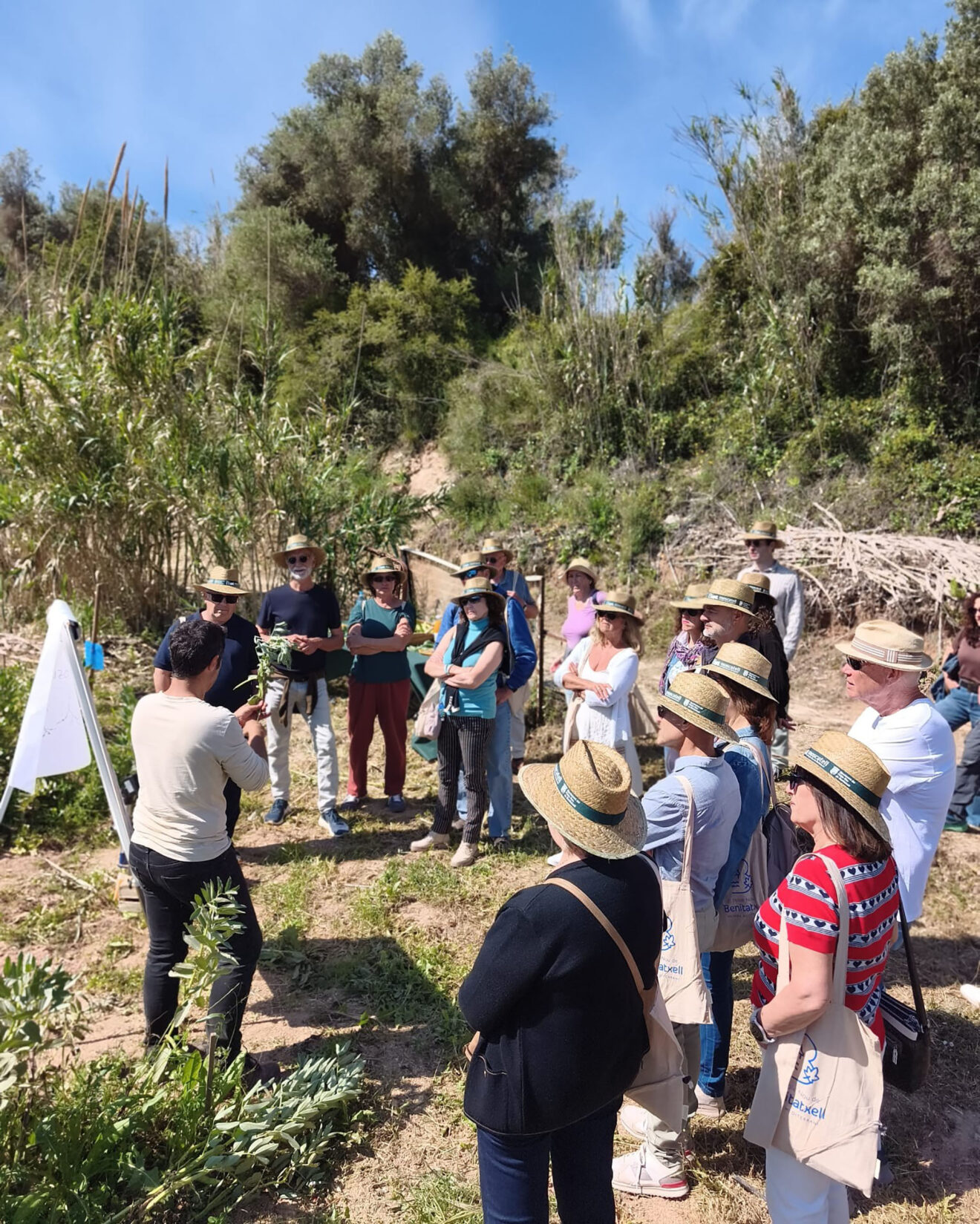 Mitjafava Fest 2026 de Benitatxell 20