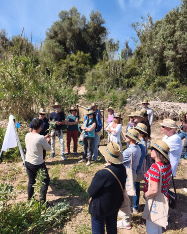 Mitjafava Fest 2026 de Benitatxell 20