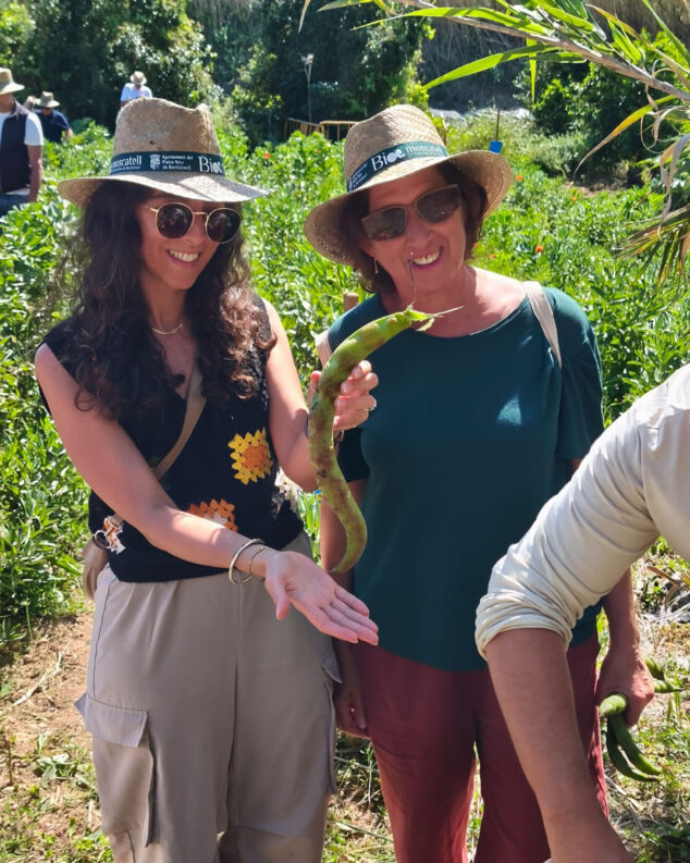 mitjafava fest 2026 de benitatxell 21