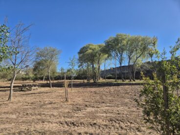 Aspecto del área recreativa del Molí Coví en Ondara preparada para su apertura en Pascua