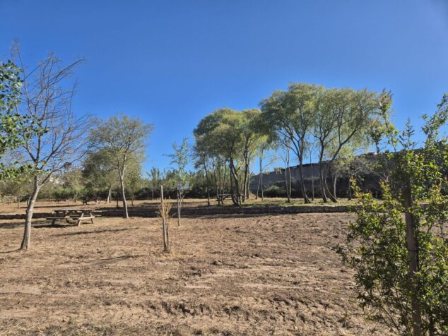 Imagen: Área recreativa del Molí Coví en Ondara con mesas de picnic y árboles bajo un cielo azul.