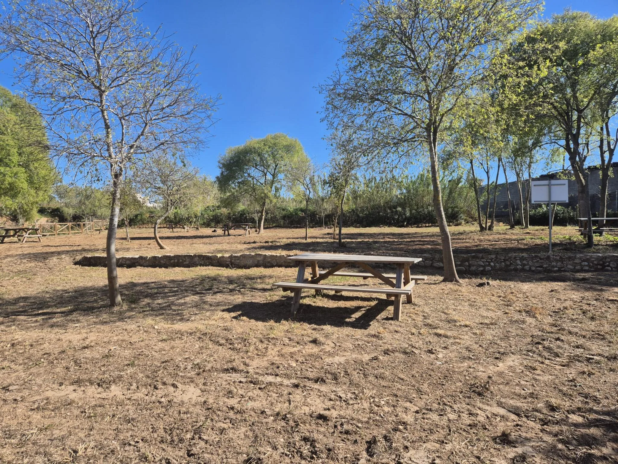 Mesa de picnic de madera bajo los árboles en el área recreativa de tierra del Molí Coví en Ondara.