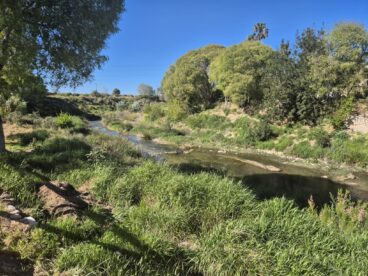 Área recreativa y entorno natural del Molí Coví en Ondara
