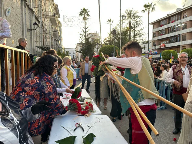 Benissa cubre con un espectacular manto de flores a su patrona la Puríssima Xiqueta 105 ofrenda a la purissima xiqueta de benissa en fiestas 2026 101