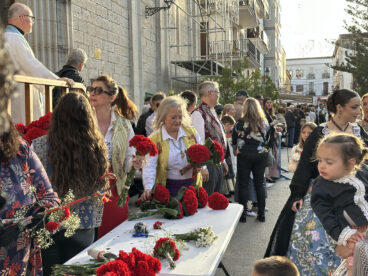 Ofrenda a la Puríssima Xiqueta de Benissa en fiestas 2026 86