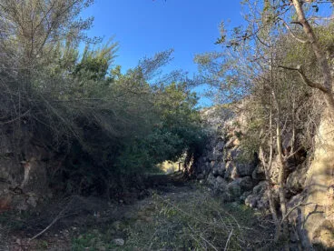 Perspectiva del Colló del Bou, a la derecha, donde termina la zona de huertos de cítricos de El Verger