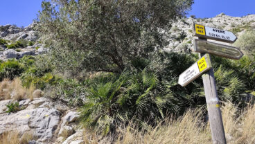 Señalización oficial del sendero de ascenso a la Cova Bolumini y el Avenc