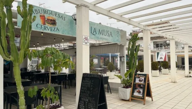 tapas tradicionales en denia con sabor autentico en la musa