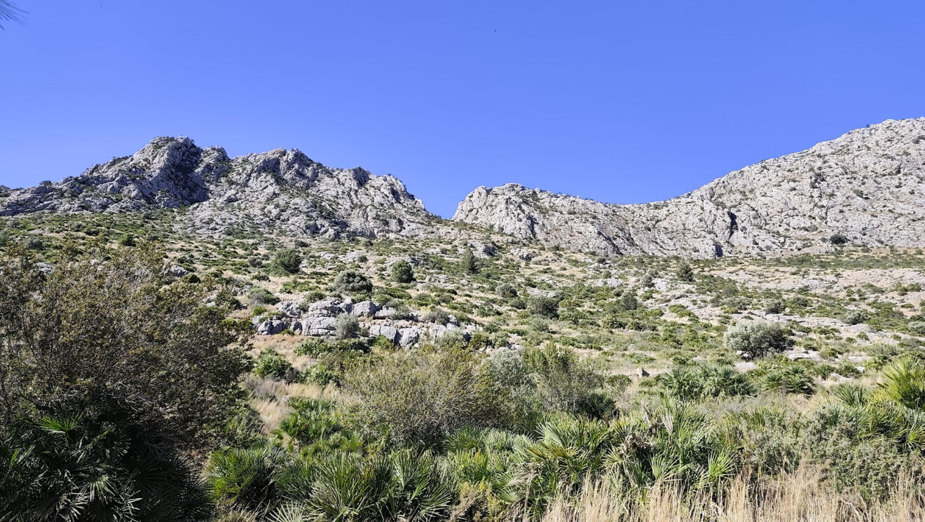 Terreno del ascenso a la ruta a la Cova Bolumini de Segària desde Beniarbeig