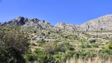 Terreno del ascenso a la ruta a la Cova Bolumini de Segària desde Beniarbeig