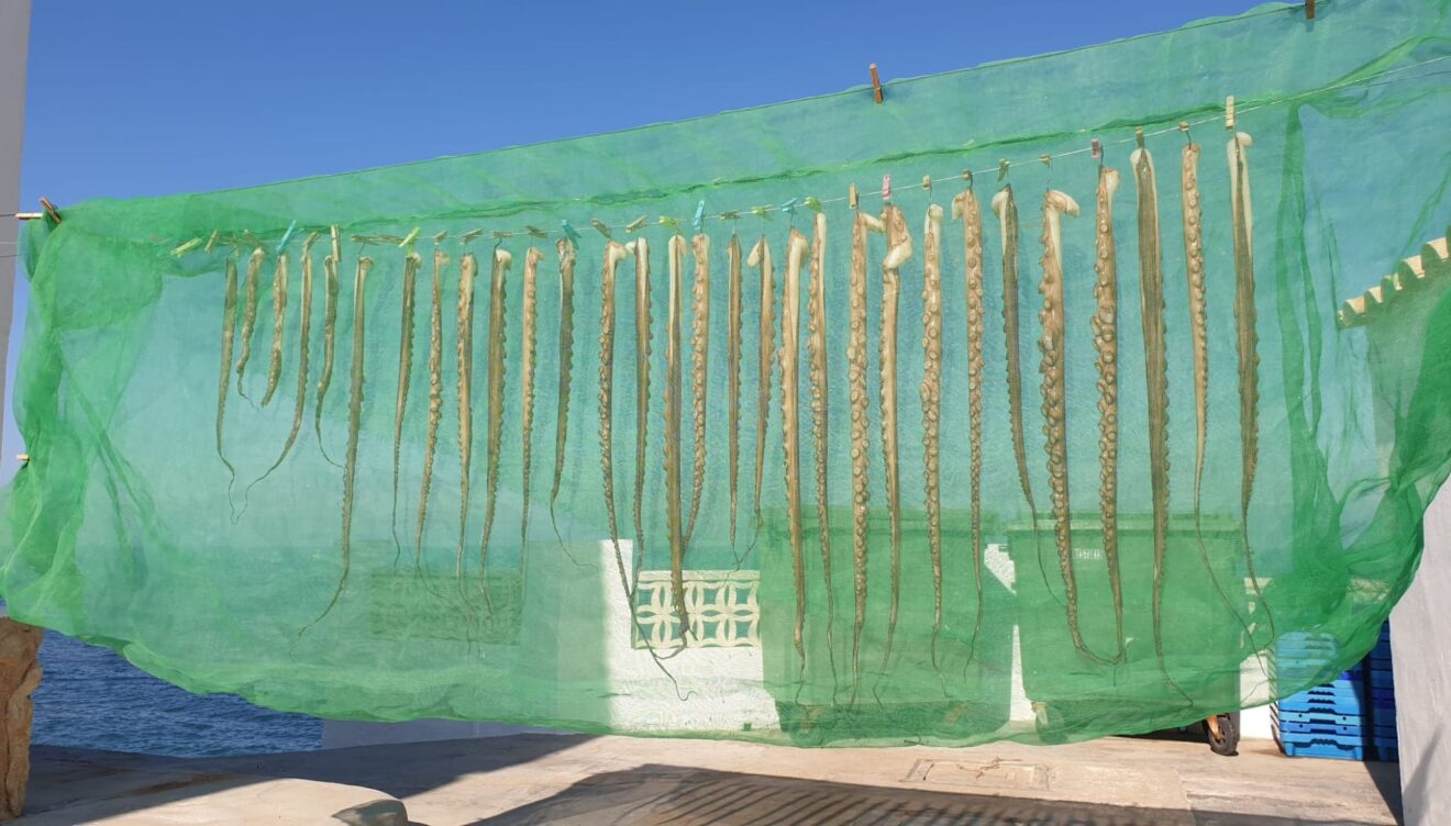 Tradición marinera del pulpo secándose al sol en la costa de Dénia