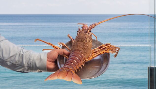el secreto de la cocina marinera tradicional en javea