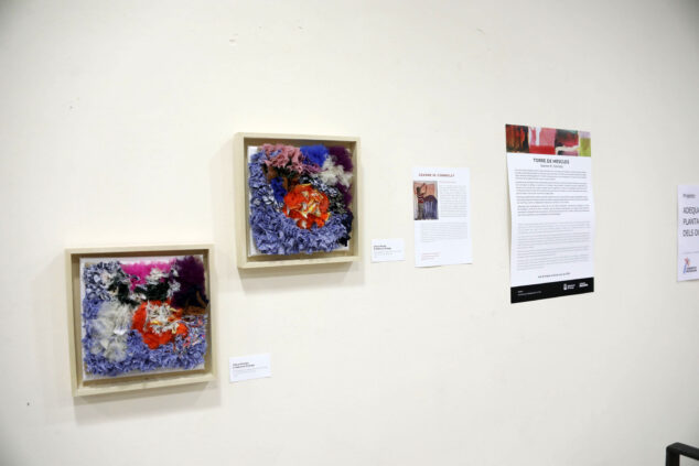 exposicion de jeanne m connolly en el verger 41