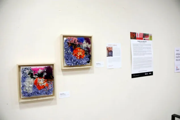 exposicion de jeanne m connolly en el verger 41